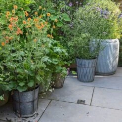 Planter In Lattice Basket Surround 12 Planter In Lattice Basket Surround -Plants Shop pr2000034026 card6 lg