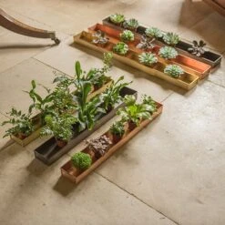 Brushed Brass Tray -Plants Shop pr2000034034 card3 lg