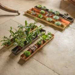 Brushed Copper Tray 11 Brushed Copper Tray -Plants Shop pr2000034036 card5 lg