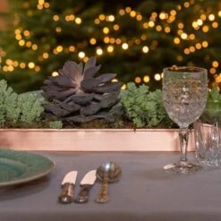 Brushed Copper Tray 13 Brushed Copper Tray -Plants Shop pr2000034036 card7 lg