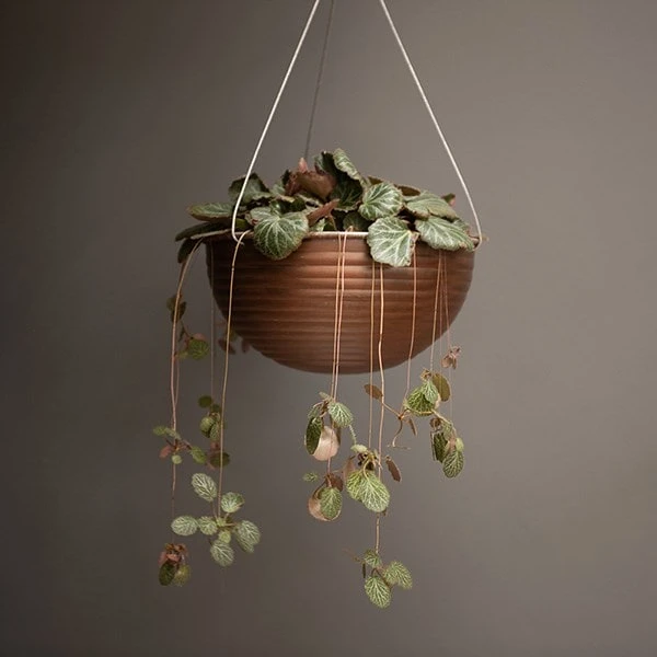 Hanging Ribbed Bowl - Dark Rust 2 Hanging Ribbed Bowl - Dark Rust - Image 2