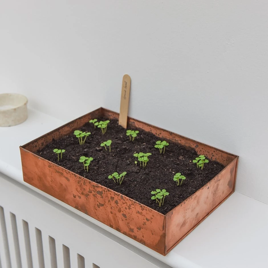 Brushed Copper Seed Tray 1 Brushed Copper Seed Tray