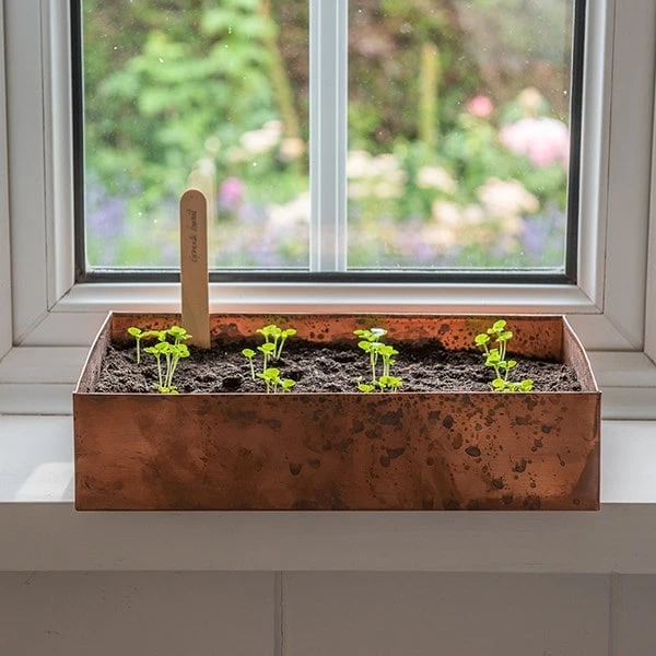 Brushed Copper Seed Tray 2 Brushed Copper Seed Tray - Image 2