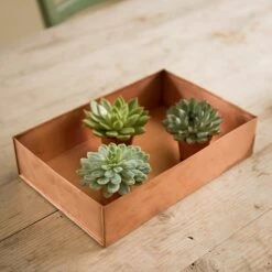Brushed Copper Seed Tray 12 Brushed Copper Seed Tray -Plants Shop pr2000034042 card4 lg