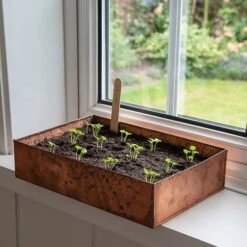 Brushed Copper Seed Tray 14 Brushed Copper Seed Tray -Plants Shop pr2000034042 card6 lg