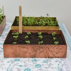 Brushed Copper Seed Tray 16 Brushed Copper Seed Tray -Plants Shop pr2000034042 card8 lg