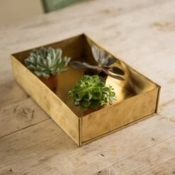 Brushed Brass Seed Tray -Plants Shop pr2000034043 card6 lg