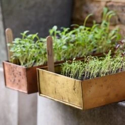 Brushed Brass Seed Tray -Plants Shop pr2000034043 card8 lg