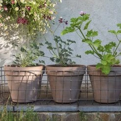 Pot Window Basket -Plants Shop pr2000034049 card3 lg