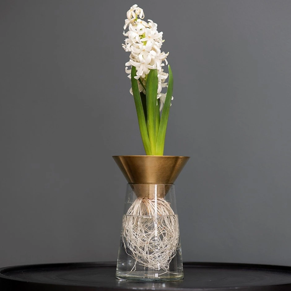 Brass Cone Hyacinth Vase 1 Brass Cone Hyacinth Vase