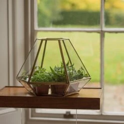 Terrarium With Brass Base Tray 9 Terrarium With Brass Base Tray -Plants Shop pr2000034059 card3 lg