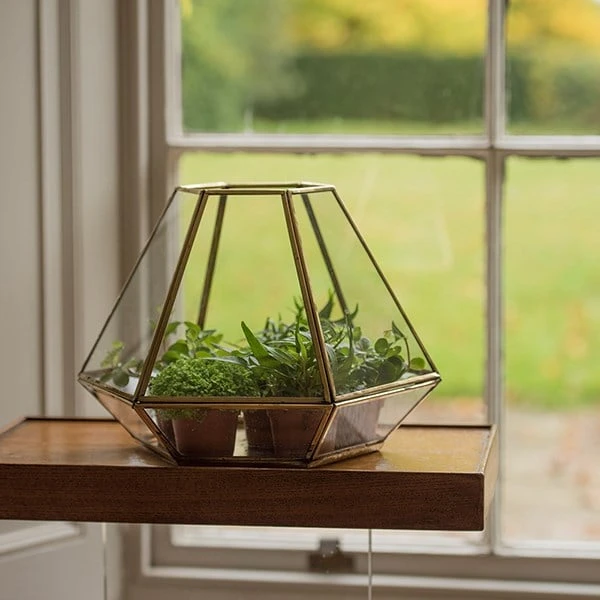 Terrarium With Brass Base Tray 3 Terrarium With Brass Base Tray - Image 3