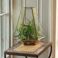 Terrarium With Brass Base Tray 10 Terrarium With Brass Base Tray -Plants Shop pr2000034059 card4 lg