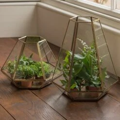 Terrarium With Brass Base Tray 12 Terrarium With Brass Base Tray -Plants Shop pr2000034059 card6 lg
