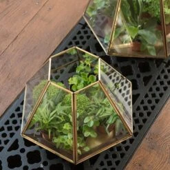 Terrarium With Brass Base Tray 13 Terrarium With Brass Base Tray -Plants Shop pr2000034059 card7 lg
