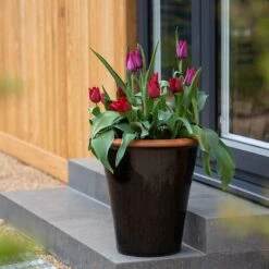 Glazed Terracotta Pot - Black -Plants Shop pr2000034127 card11 lg
