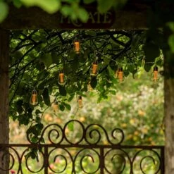 LED Edison Bulb String - Connectable -Plants Shop pr2000034876 card4 lg