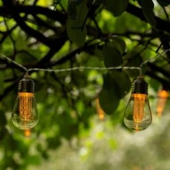 LED Edison Bulb String - Connectable -Plants Shop pr2000034876 card5 lg