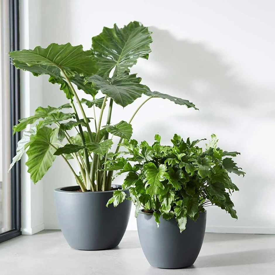 Pure Soft Round Pot With Wheels Anthracite 1 Pure Soft Round Pot With Wheels Anthracite