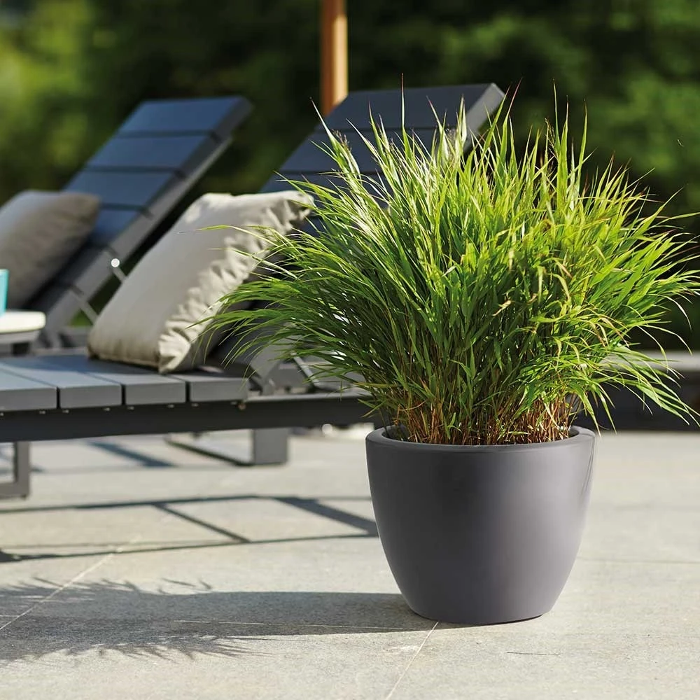 Pure Soft Round Pot With Wheels Anthracite 2 Pure Soft Round Pot With Wheels Anthracite - Image 2