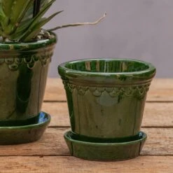 Scalloped Tapered Plant Pot With Saucer - Dark Green -Plants Shop pr2000035578 card3 lg