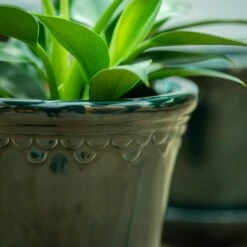 Scalloped Tapered Plant Pot With Saucer - Dark Blue -Plants Shop pr2000035580 card4 lg