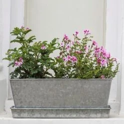 Galvanised Window Trough -Plants Shop pr2000035781 card3 lg