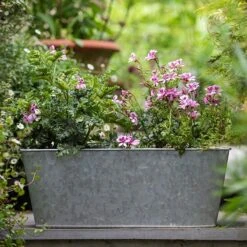 Galvanised Window Trough -Plants Shop pr2000035781 card5 lg
