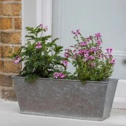 Galvanised Window Trough -Plants Shop pr2000035781 card6 lg