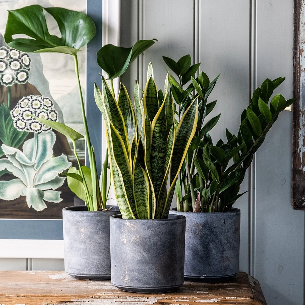 Ceramic Plant Pot - Charcoal 2 Ceramic Plant Pot - Charcoal - Image 2