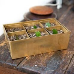 Brass Tray With 6 Brass Grow Pods 14 Brass Tray With 6 Brass Grow Pods -Plants Shop pr2000037485 card7 lg