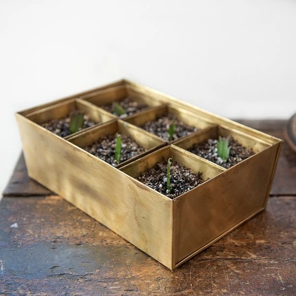 Brass Tray With 6 Brass Grow Pods 8 Brass Tray With 6 Brass Grow Pods - Image 8