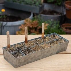 Galvanised Tray With 12 Grow Pods 11 Galvanised Tray With 12 Grow Pods -Plants Shop pr2000037486 card7 lg