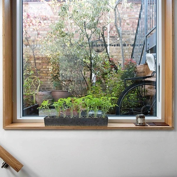 Galvanised Tray With 16 Grow Pods 2 Galvanised Tray With 16 Grow Pods - Image 2