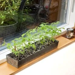 Galvanised Tray With 16 Grow Pods 14 Galvanised Tray With 16 Grow Pods -Plants Shop pr2000037487 card7 lg