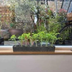 Galvanised Tray With 16 Grow Pods 15 Galvanised Tray With 16 Grow Pods -Plants Shop pr2000037487 card8 lg