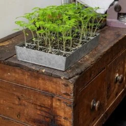 Galvanised Tray With 24 Grow Pods 10 Galvanised Tray With 24 Grow Pods -Plants Shop pr2000037488 card5 lg