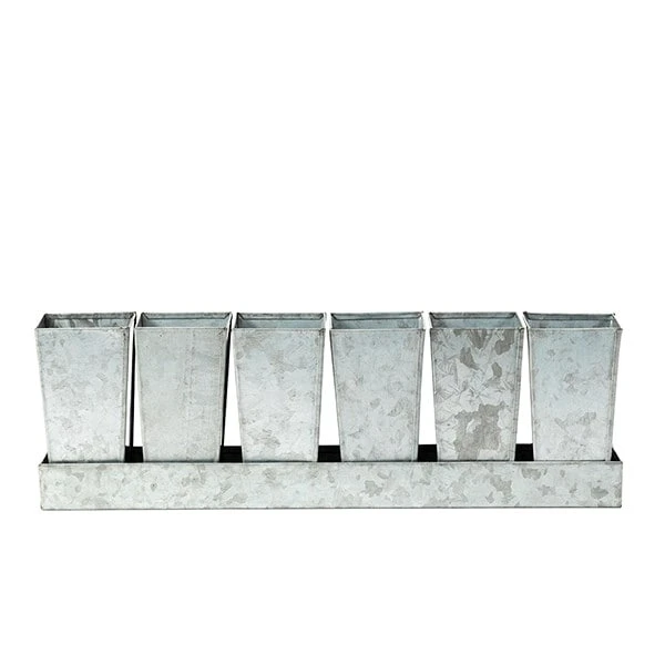 Galvanised Tray With 6 Tall Root Trainer Pods 3 Galvanised Tray With 6 Tall Root Trainer Pods - Image 3
