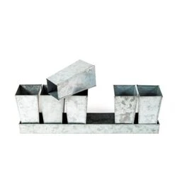 Galvanised Tray With 6 Tall Root Trainer Pods 9 Galvanised Tray With 6 Tall Root Trainer Pods -Plants Shop pr2000037489 card4 lg