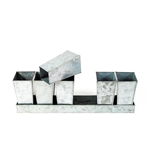 Galvanised Tray With 6 Tall Root Trainer Pods 4 Galvanised Tray With 6 Tall Root Trainer Pods - Image 4