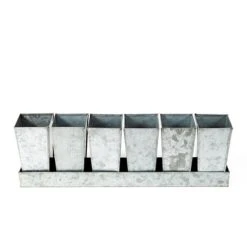 Galvanised Tray With 6 Tall Root Trainer Pods 11 Galvanised Tray With 6 Tall Root Trainer Pods -Plants Shop pr2000037489 card6 lg