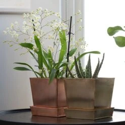 Square Copper Pot And Saucer 8 Square Copper Pot And Saucer -Plants Shop pr2000037495 card3 lg