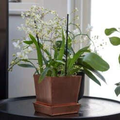 Square Copper Pot And Saucer 11 Square Copper Pot And Saucer -Plants Shop pr2000037495 card6 lg