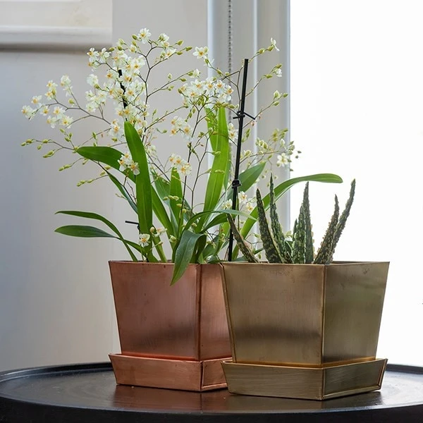 Square Brass Pot And Saucer 2 Square Brass Pot And Saucer - Image 2