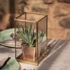 Simple Terrarium / Tealight Holder With Tray Base 11 Simple Terrarium / Tealight Holder With Tray Base -Plants Shop pr2000037497 card4 lg