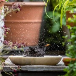 Turned White Marble Bird Bowl -Plants Shop pr2000037501 card4 lg