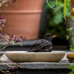 Turned White Marble Bird Bowl -Plants Shop pr2000037501 card7 lg