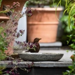 Turned Green Marble Bird Bowl -Plants Shop pr2000037502 card4 lg