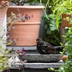Turned Green Marble Bird Bowl -Plants Shop pr2000037502 card5 lg