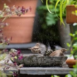 Turned Green Marble Bird Bowl -Plants Shop pr2000037502 card7 lg